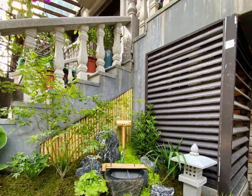 室内枯山水造景适合哪些植物？如何进行布置？
