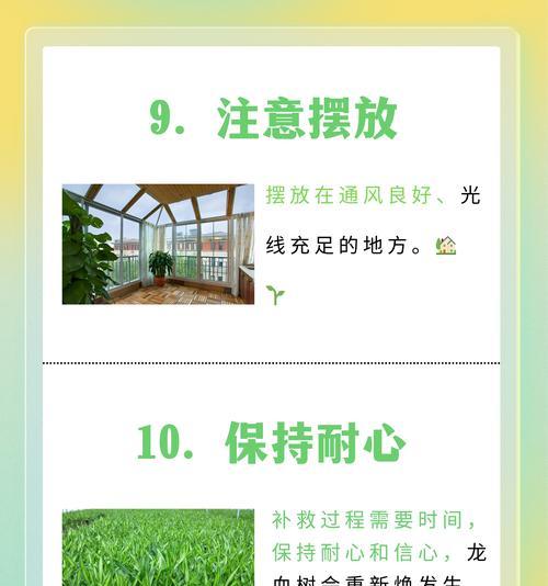 植物叶片发黄的原因是什么？如何预防和处理？