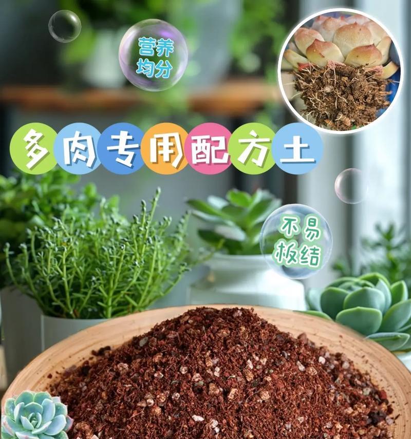 哪种土壤最适合养花？如何选择合适的土壤？