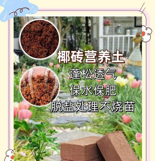 哪种土壤最适合养花？如何选择合适的土壤？