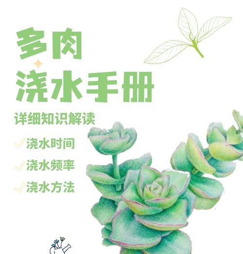 绿宝植物的浇水技巧是什么？