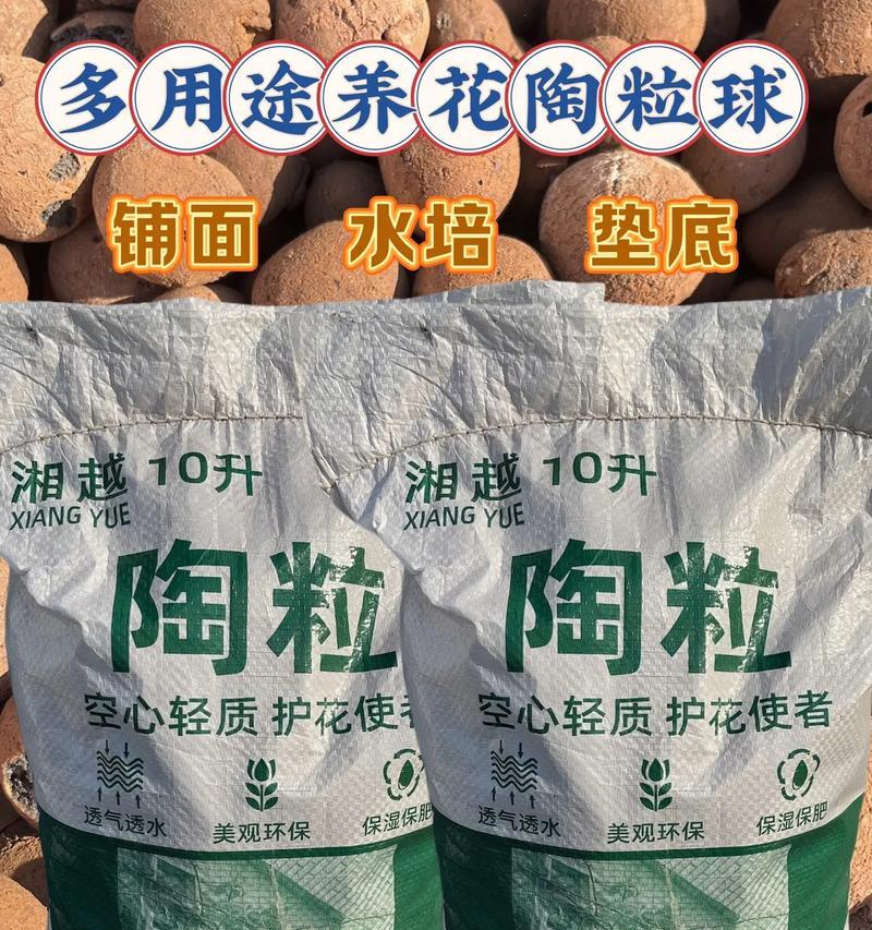 使用陶粒养白掌有哪些好处？如何正确使用陶粒？