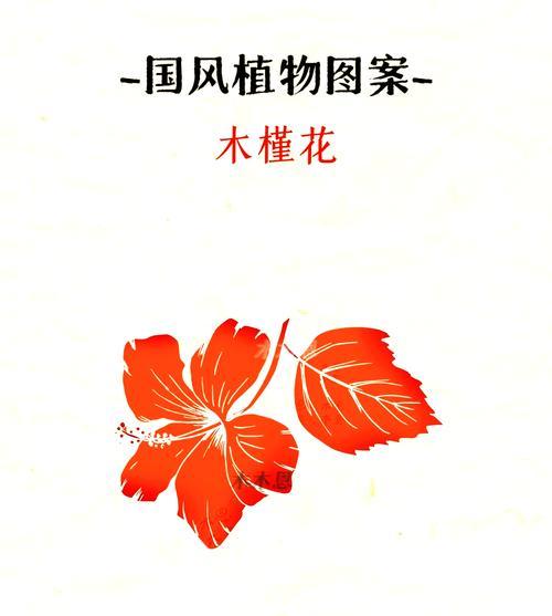 木槿花的种植方法是什么？如何确保其顺利生长开花？
