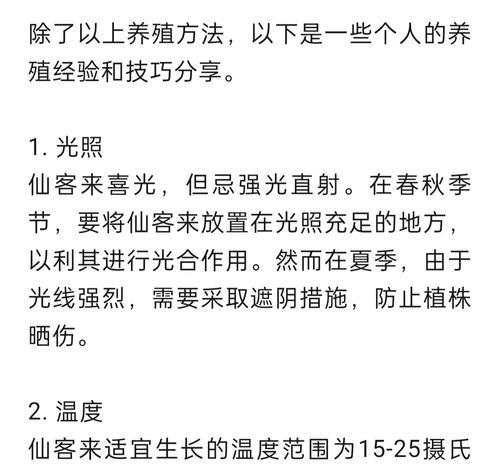 仙客来的施肥技巧是什么？