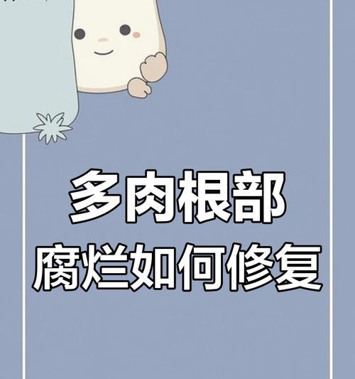 多肉烂根是什么原因造成的？如何预防和处理？