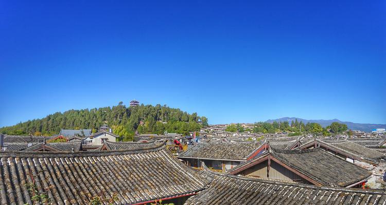 莲华古城的花语有何含义？它象征着什么？