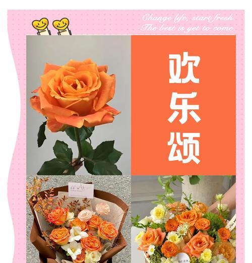 巨蟹座女生的花语是什么？巨蟹座女生适合什么花？
