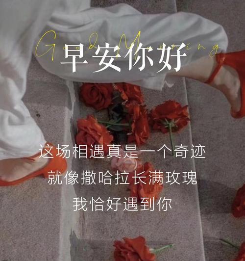 哪种玫瑰的花语代表了“我爱你”？