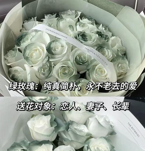 不同颜色玫瑰花的综合花语是什么？