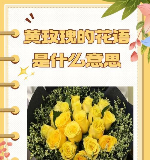 不同颜色玫瑰花的综合花语是什么？