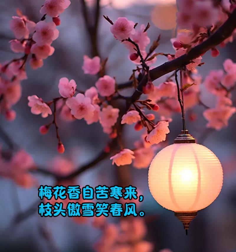 梅花花语是什么？梅花在中国文化中象征着哪些品质？