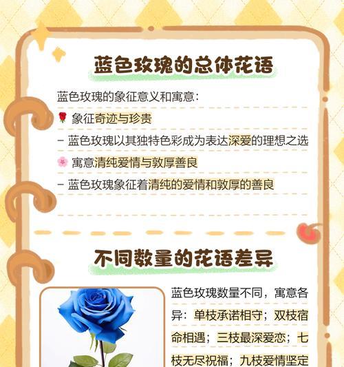玫瑰花送给男生有何寓意？它代表了什么？