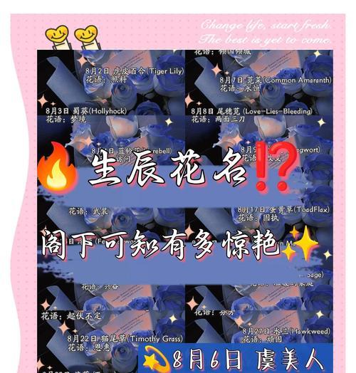 如何用花语表达对员工的关爱？