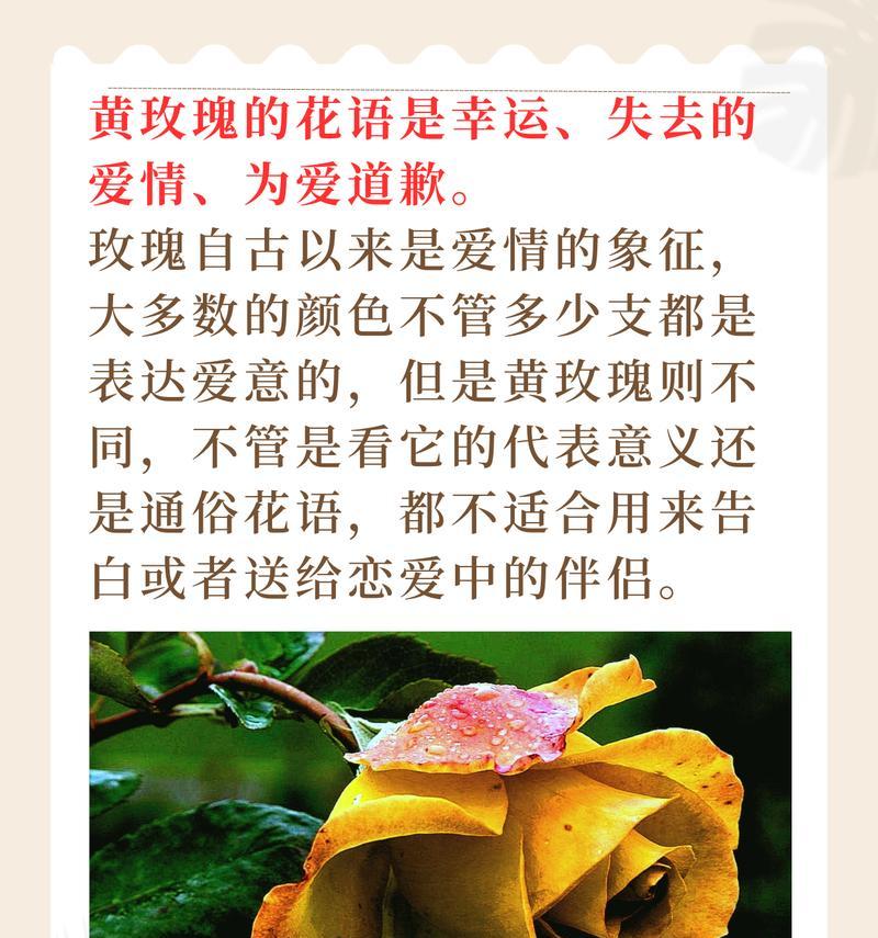 各种物品的花语有何特别含义？代表什么？
