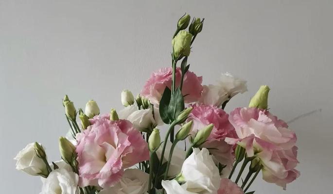 各种物品的花语有何特别含义？代表什么？