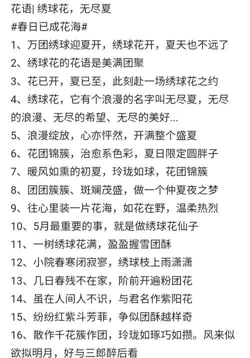 秀球花语寓意是什么？它象征着怎样的情感？