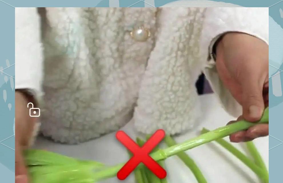 郁金香花期全解析？如何延长花期？