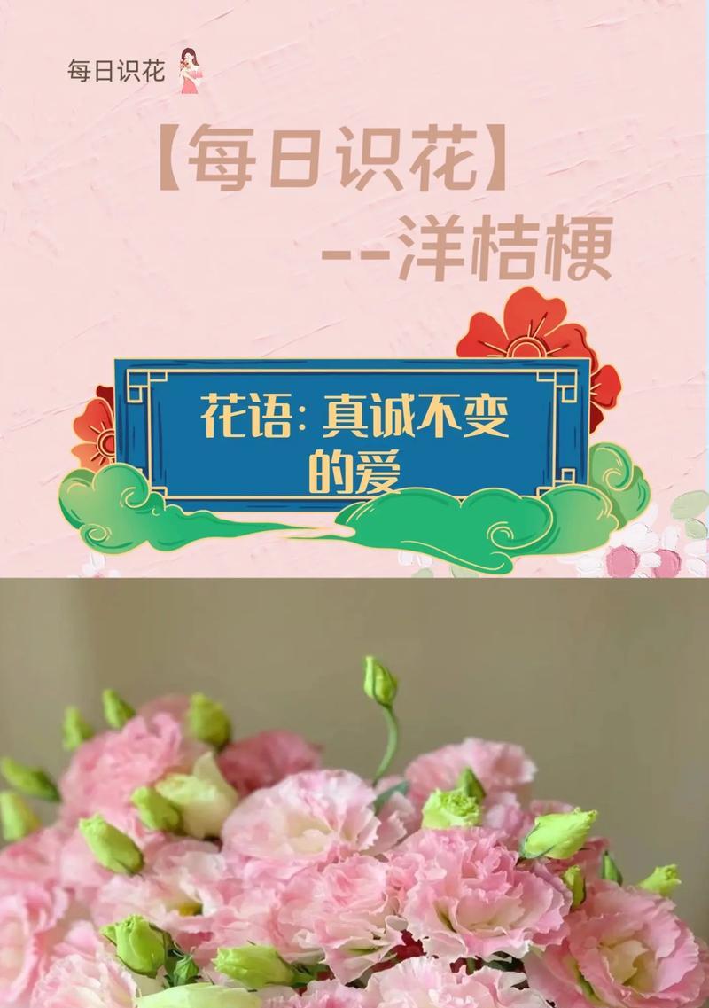 白兰花新芽发枯是什么原因？如何解决？