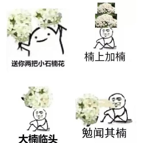 石楠花的简介是什么？花期是什么时候？