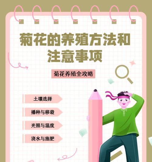 雏菊如何养护？有哪些注意事项？