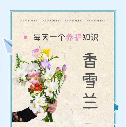 如何正确种植和养护香雪兰花卉种子？