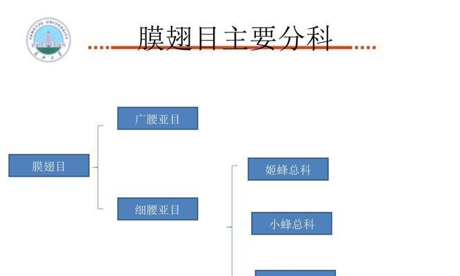 如何建立有效的防虫屏障以保护春播作物？