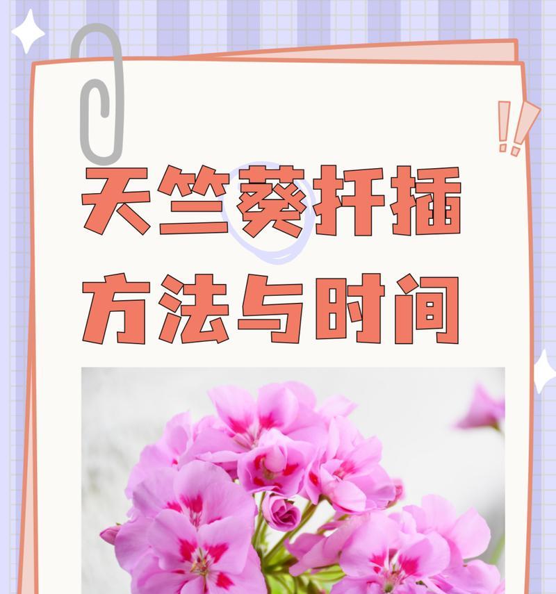 二月如何轻松扦插植物？零支出如何增加家中绿植？