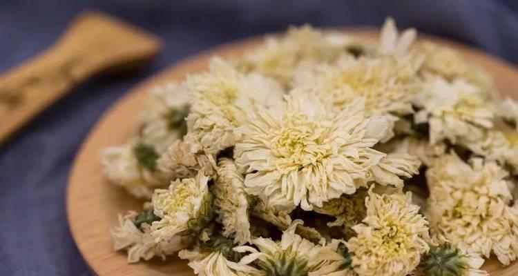 雏菊与杭菊有什么不同？它们的特点是什么？