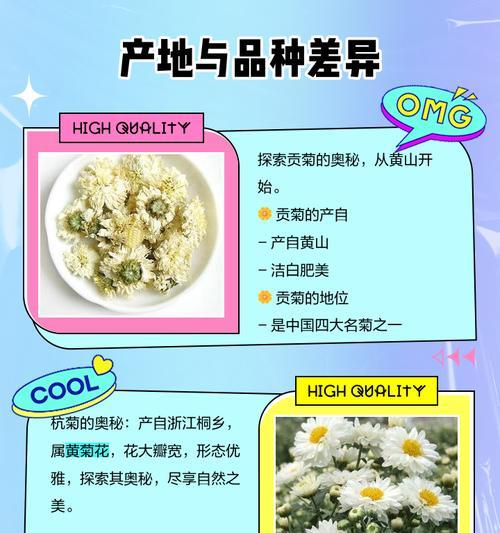 雏菊与杭菊有什么不同？它们的特点是什么？