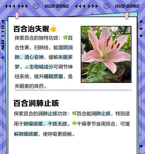 百合的生长特点是什么？养护指南有哪些要点？