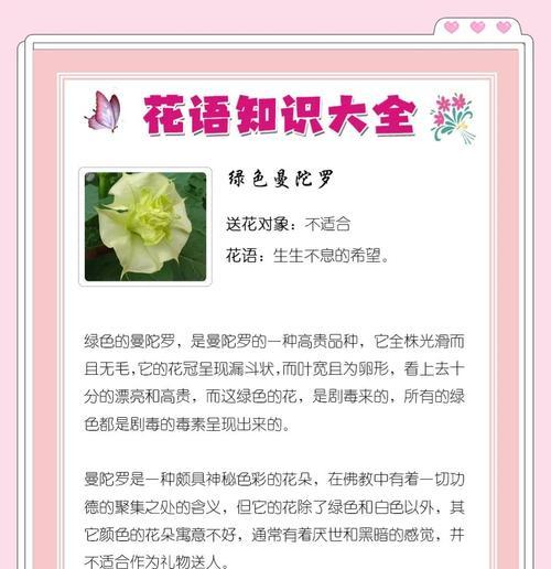 彼岸花花语和寓意？它代表了什么？