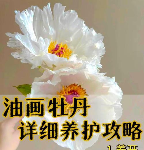 牡丹花的正确养殖方法是什么？