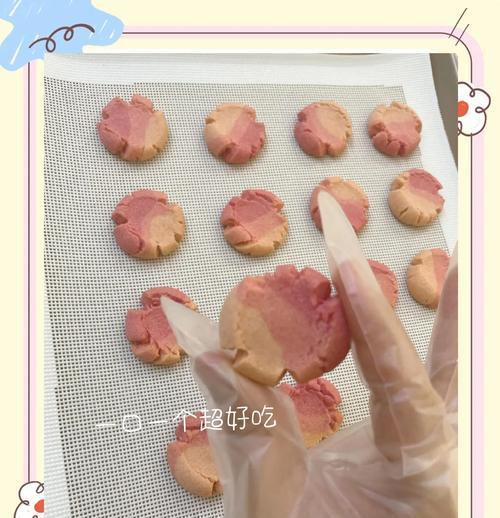 草莓籽在仙人掌上的种植方法是什么？