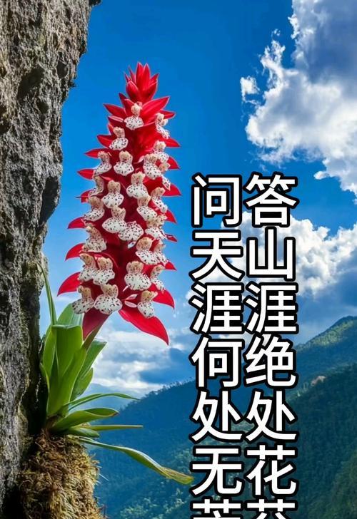 大自然的花语代表什么？大自然花语的含义是什么？