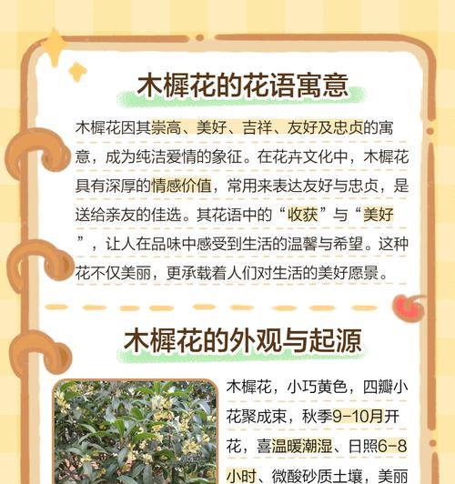 有哪些少见的花拥有美好的花语？这些花的寓意是什么？