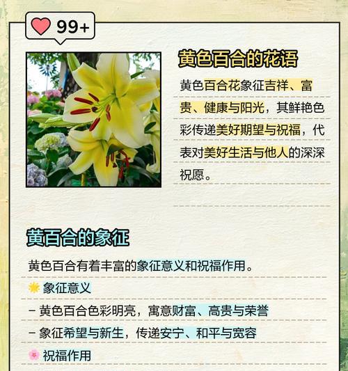 有哪些少见的花拥有美好的花语？这些花的寓意是什么？