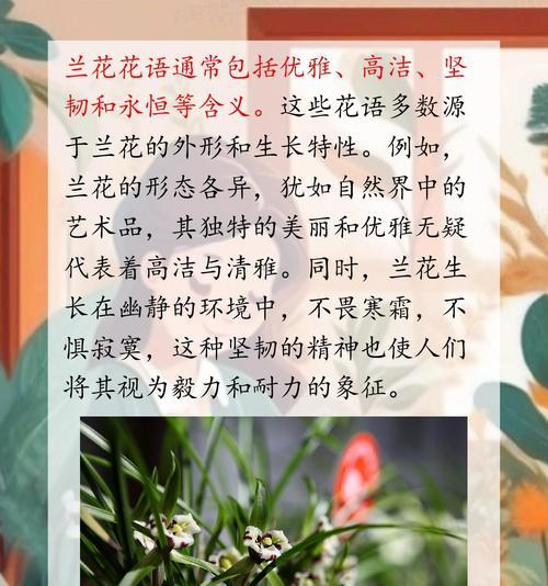 兰花的花语和象征意义是什么？