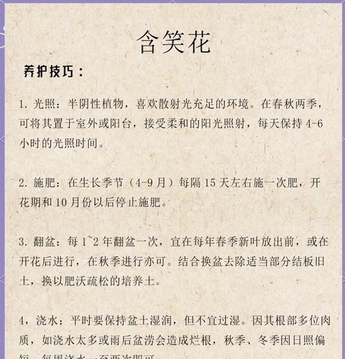 花的别名有哪些？它们的花语和背后的故事是什么？
