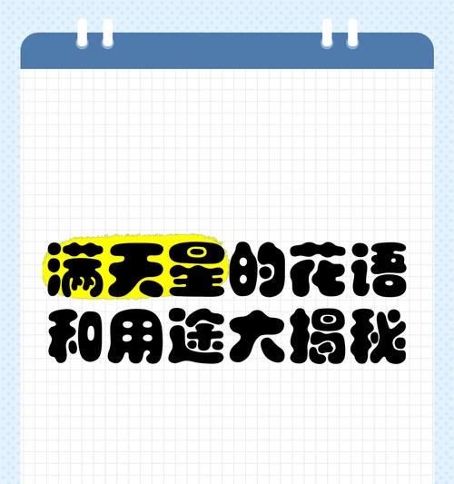 满天星的花语和寓意是什么？橘色满天星有何特别含义？