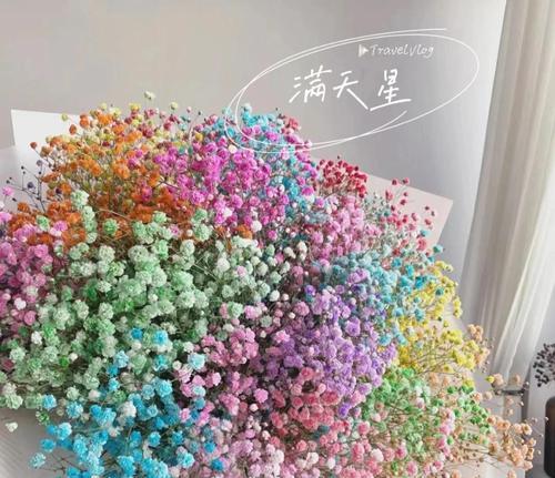满天星的花语粉色蓝色是什么？分别代表什么意思？