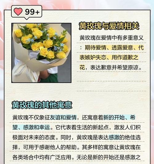 黄玫瑰在插花中的含义是什么？插花作品中黄玫瑰代表什么？