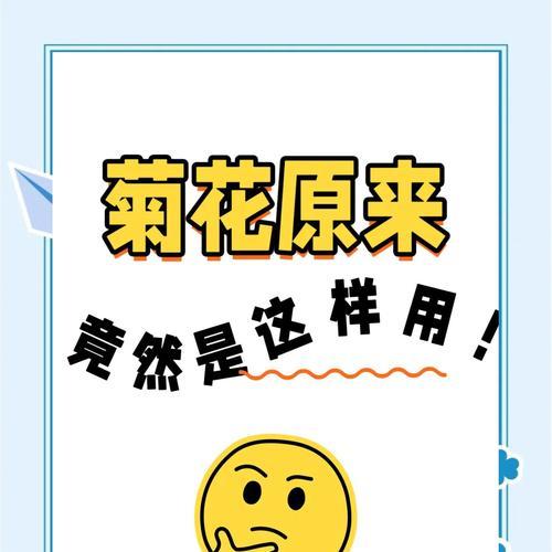 白菊花语通常意味着什么？