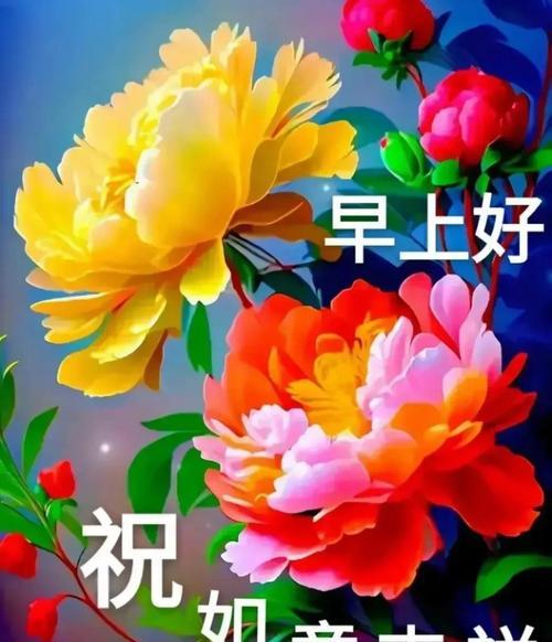 牡丹花的花语和寓意是什么？