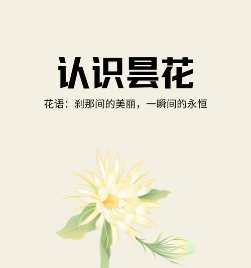 昙花的花语及其背后传说是什么？