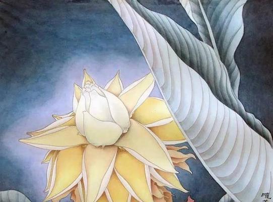 地涌金莲花的花语有何深意？传说中的故事是什么？