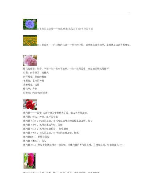 百合花的花语如何抒发情感？有哪些动人传说？