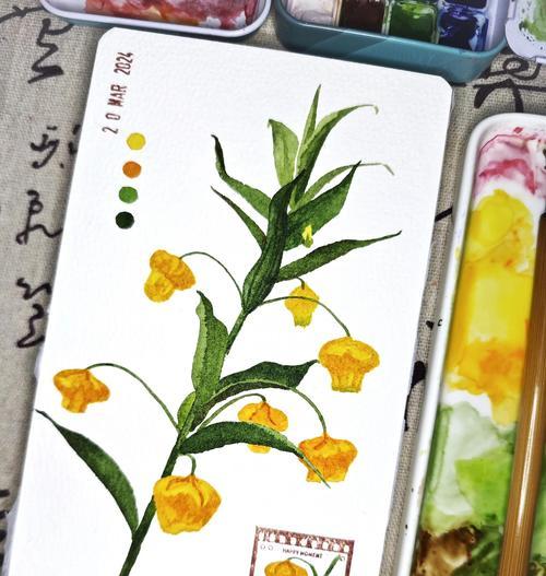 百合花的花语如何表达？有哪些特别的含义？