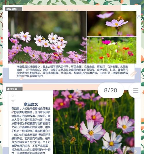 七彩格桑花的花语有哪些？它象征着什么？
