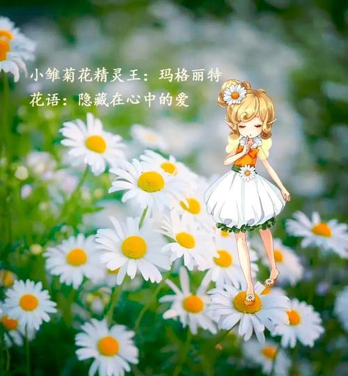 薄雪万年草的花语是什么？如何用它表达情感？