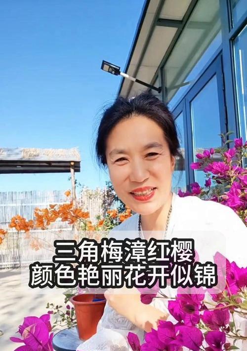 红樱三角梅的花语是什么？红樱三角梅代表了哪些情感？